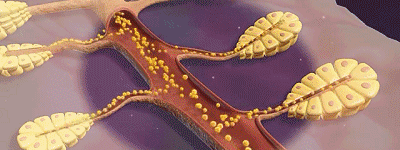 ed8b0fd7d507bdfe523e62aea7e02750.gif