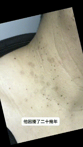 1780973264468545.gif