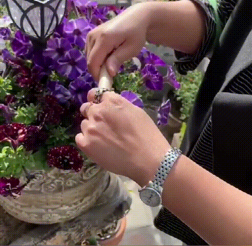 1780981903459712.gif 10010.gif