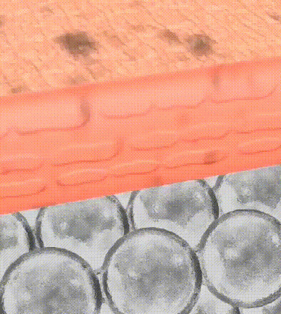 1781078020642490.gif
