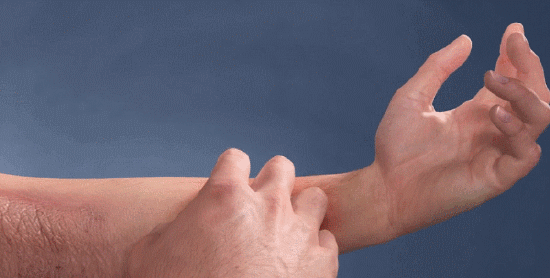1781505201654894.gif